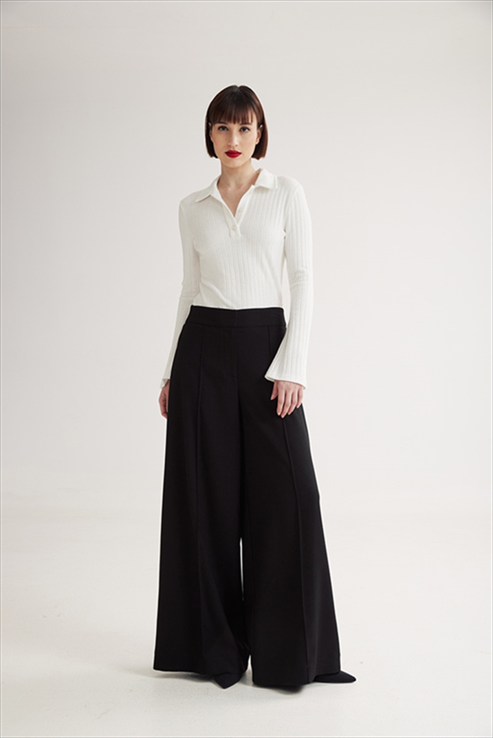 COLYN PLEATED WIDE LEG PANTS – 4TAILORS